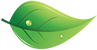 GCI Green Leaf